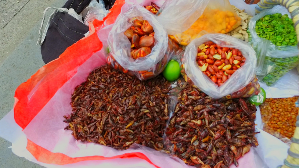 “Без багаж“ в света на буболечките в Мексико