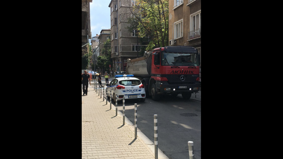 Дърво падна върху две коли в центъра на София