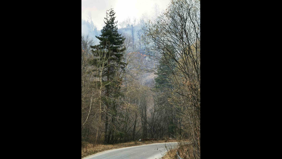 Пожар в гора в Пазарджишко