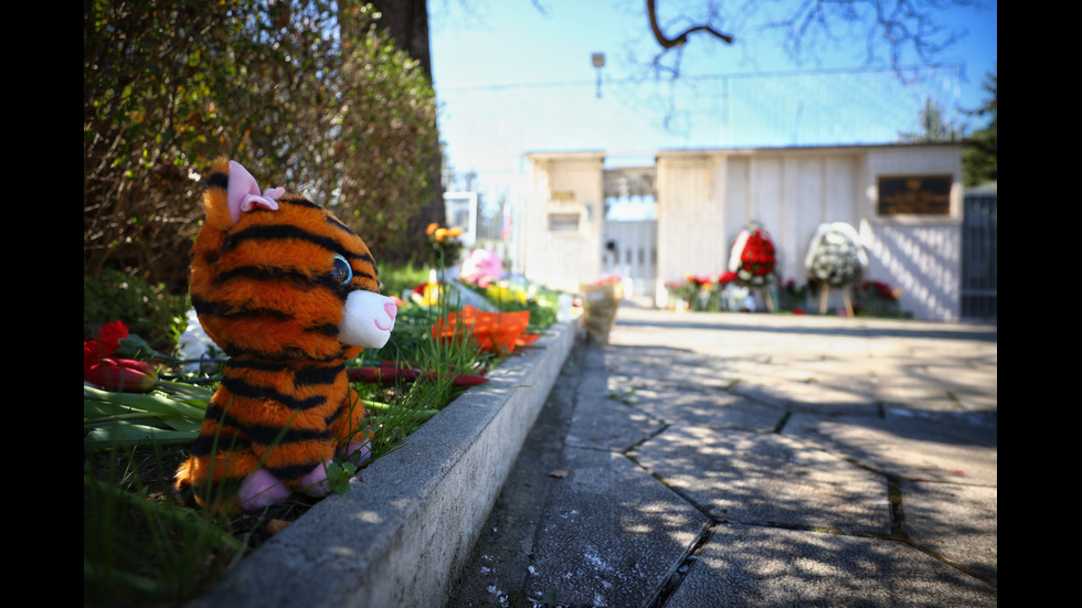 В памет на жертвите на атентата: Положиха цветя пред руското посолство в София