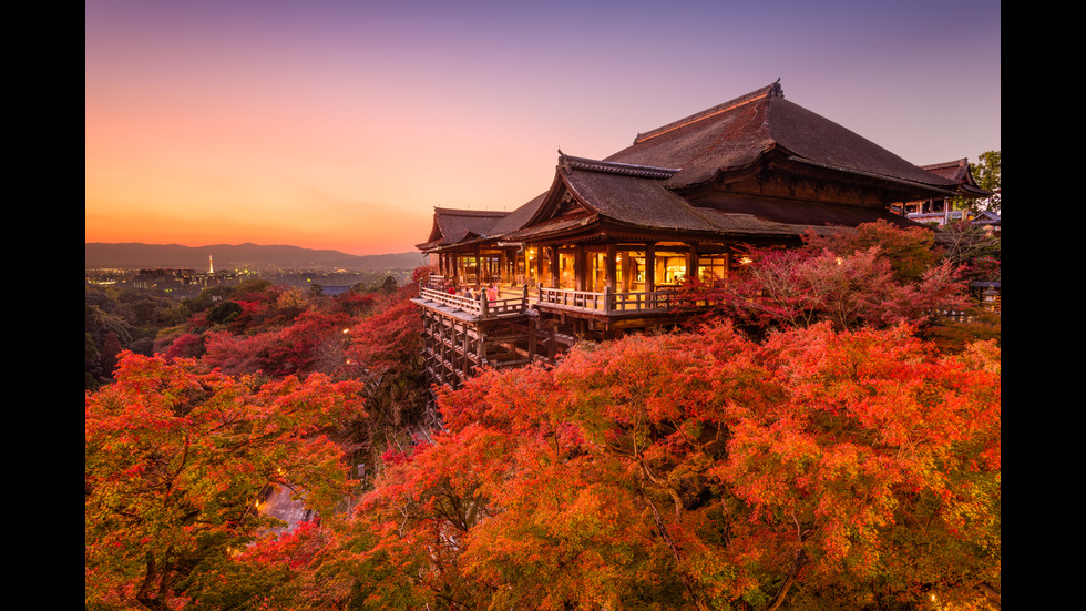 Есенна Япония - страната, в която ходят на "лов за листа"