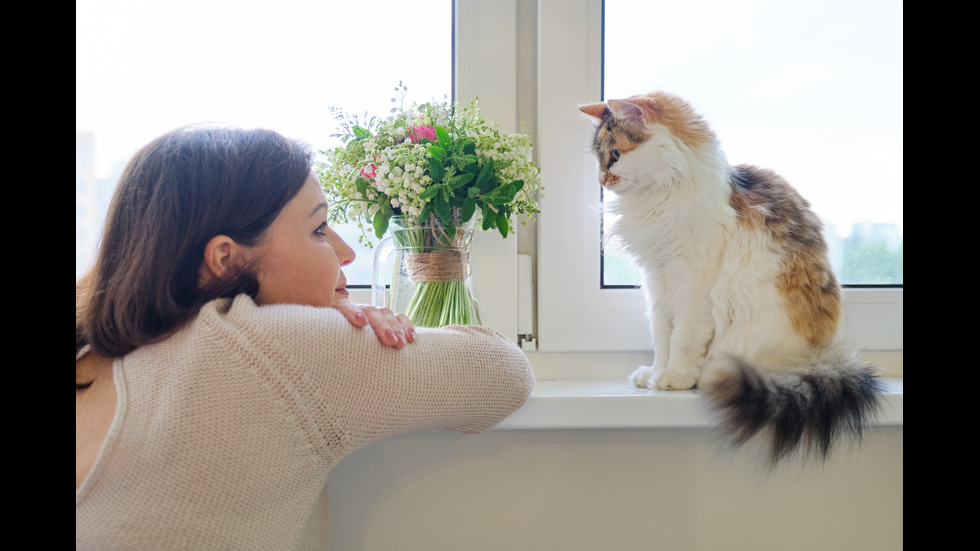 Има пет вида взаимоотношения между хората и котките