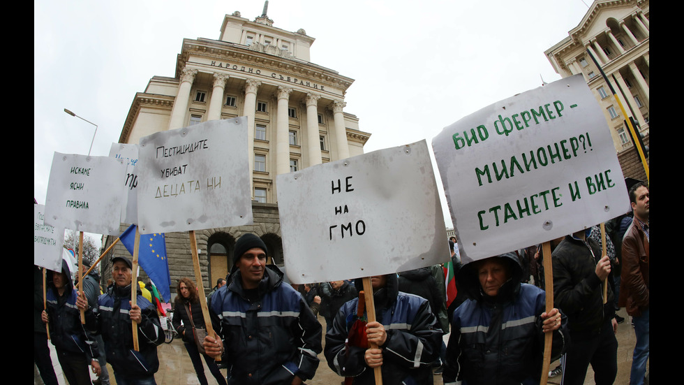 Протест на биопроизводители пред Министерството на земеделието