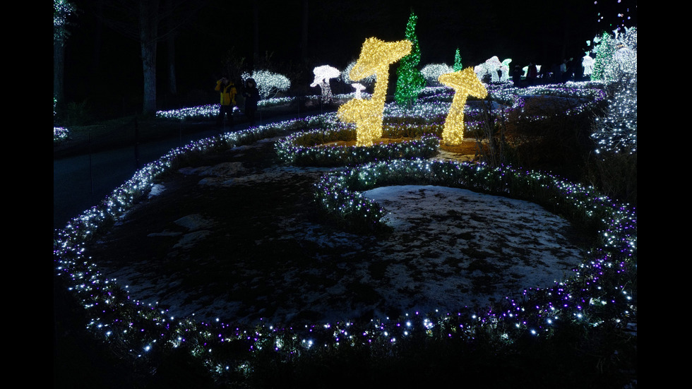 Коледен фестивал в Южна Корея