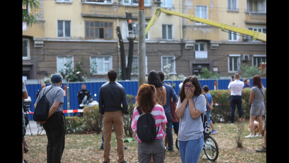 Започна рязането на дървета на улица "Опълченска" в София