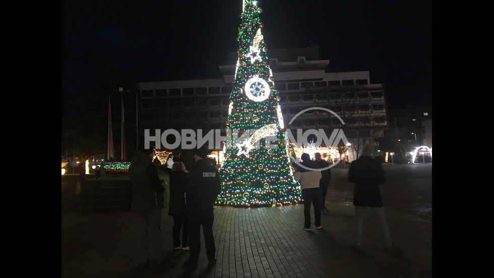 Спасиха коте, качило се на коледната елха в Казанлък