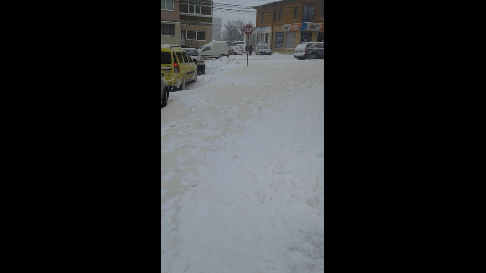Жълт сняг покри Североизточна България