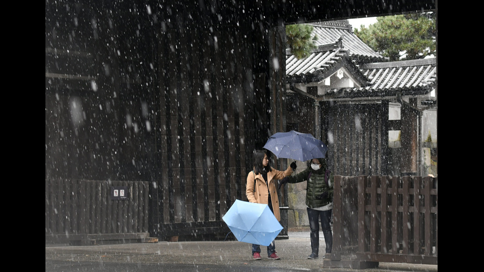 Сняг изненада жителите на японската столица