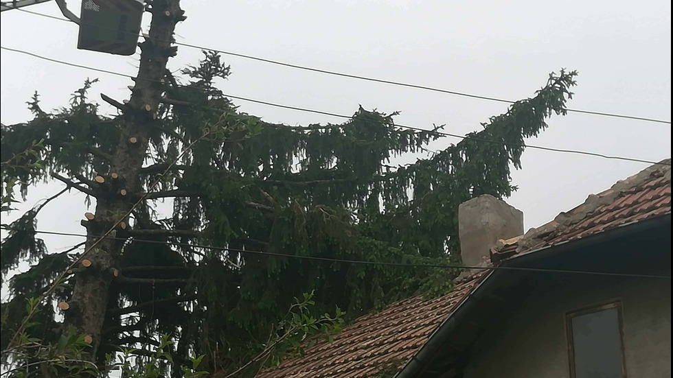 Буря нанесе огромни щети в свищовското село Морава