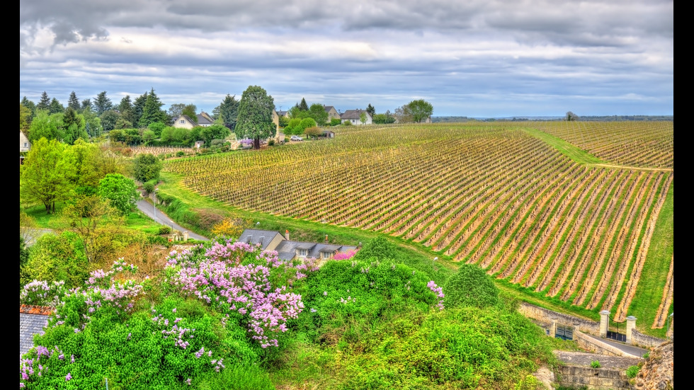 Най-добрите винарски региони в Европа