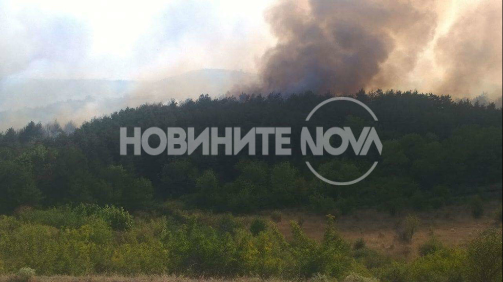 Стотици декари гора отново пламнаха край Изворище