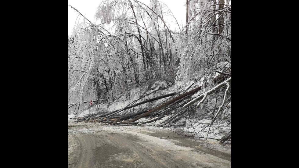 Проходът „Петрохан“ остава затворен заради паднали дървета