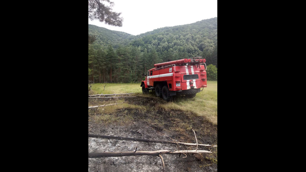 Пожар горя в Родопите