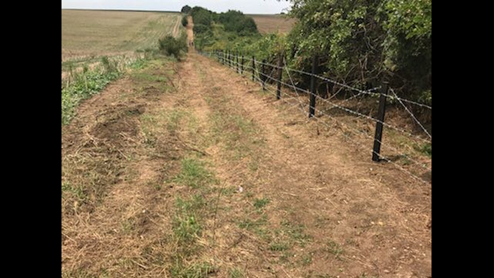 СРЕЩУ ЧУМАТА ПО СВИНЕТЕ: Изграждат телена ограда по границата с Румъния