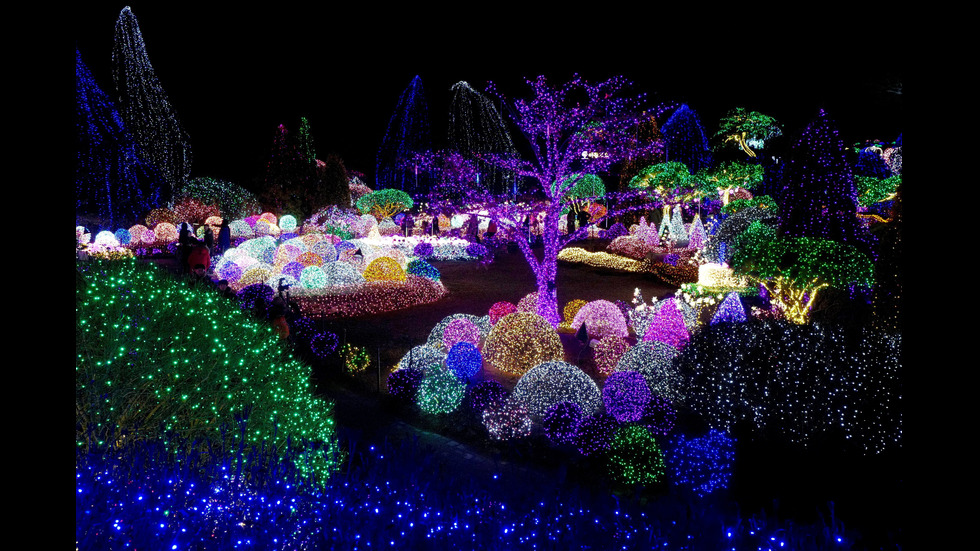 Коледен фестивал в Южна Корея