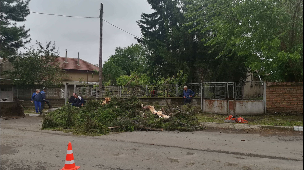 Буря нанесе огромни щети в свищовското село Морава