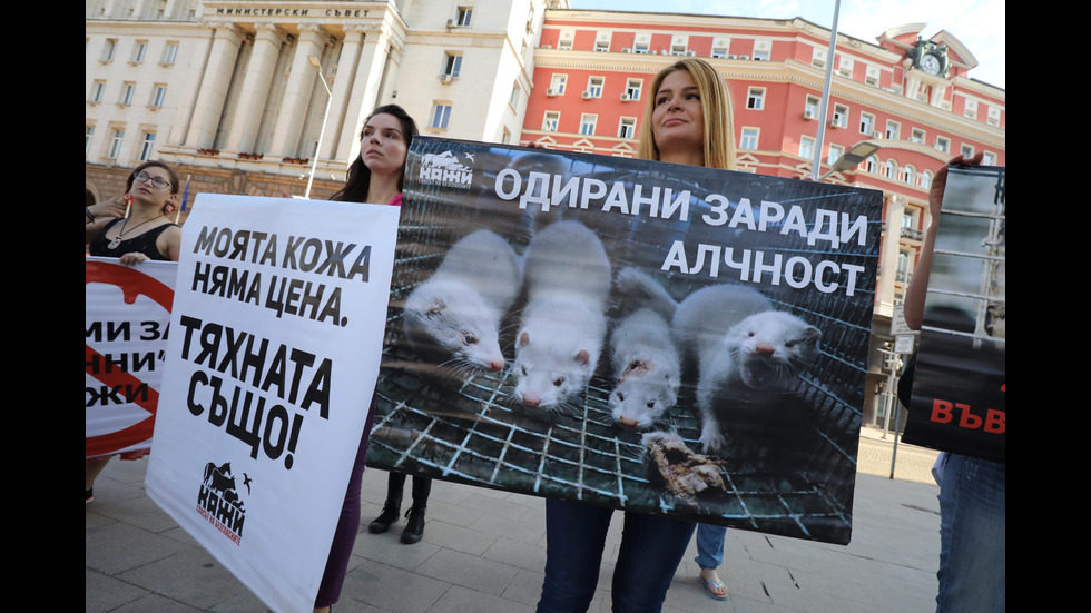 Протест срещу убиването на животни за кожите им