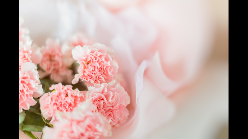 10 любопитни факта за месец януари