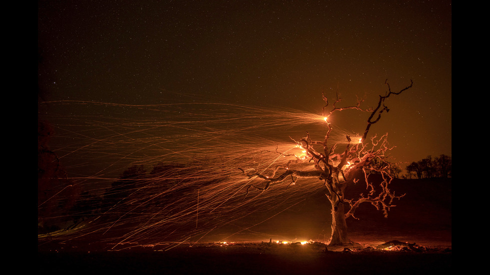 Новините на 2019-а в снимки