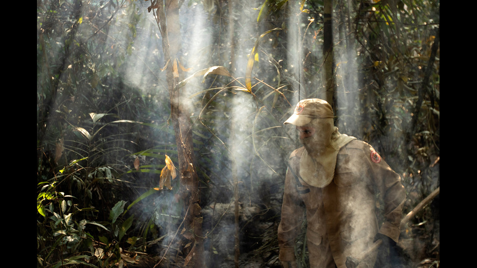 Новините на 2019-а в снимки