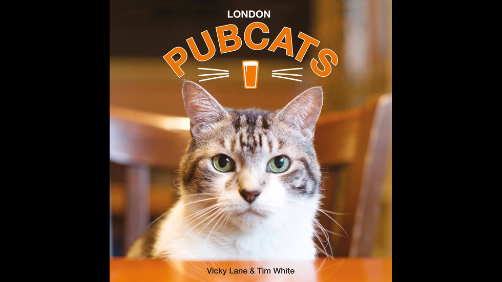 Кои са лондонските пъбове с котки?
