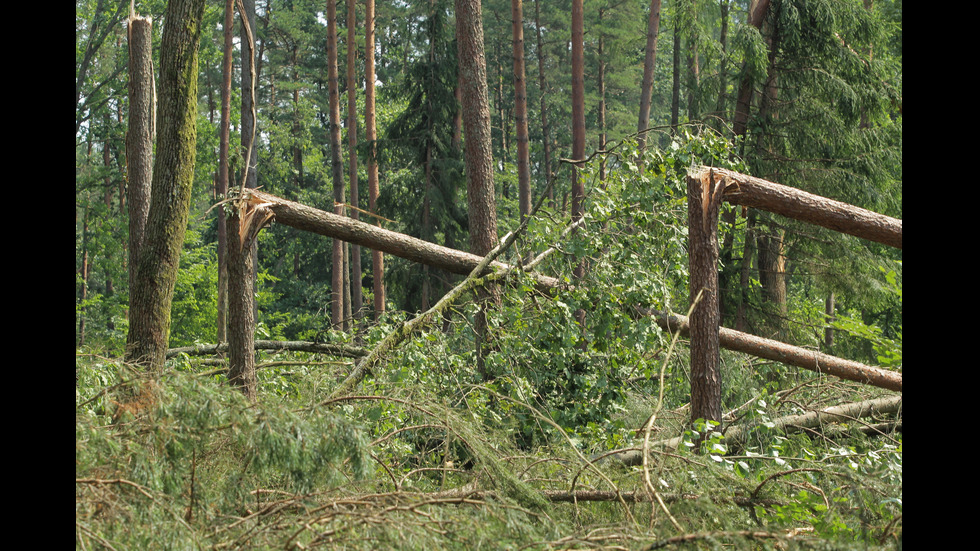 Бури с ураганни ветрове и проливни дъждове връхлетяха Полша