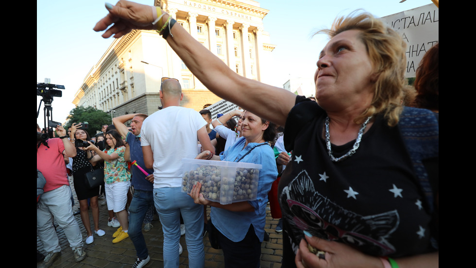 16-и ден на антиправителствен протест