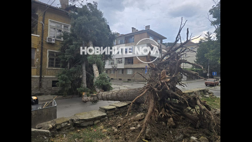 Мощна буря в Кюстендил, кметът – с призив за помощ