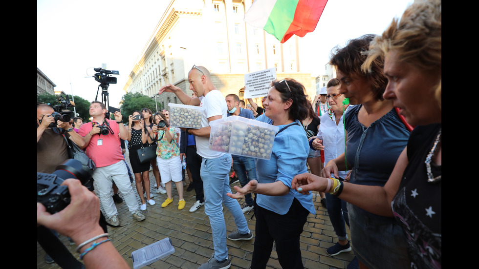 16-и ден на антиправителствен протест