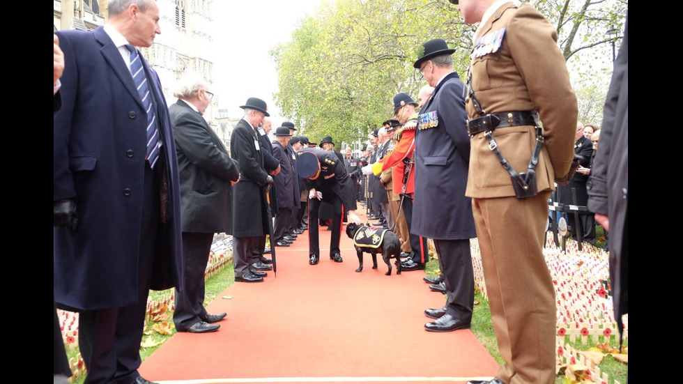 Принц Хари отново в униформа – отдаде почит на загинали войници