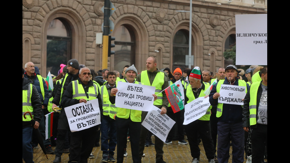 Фермери и животновъди отново излизат на протест