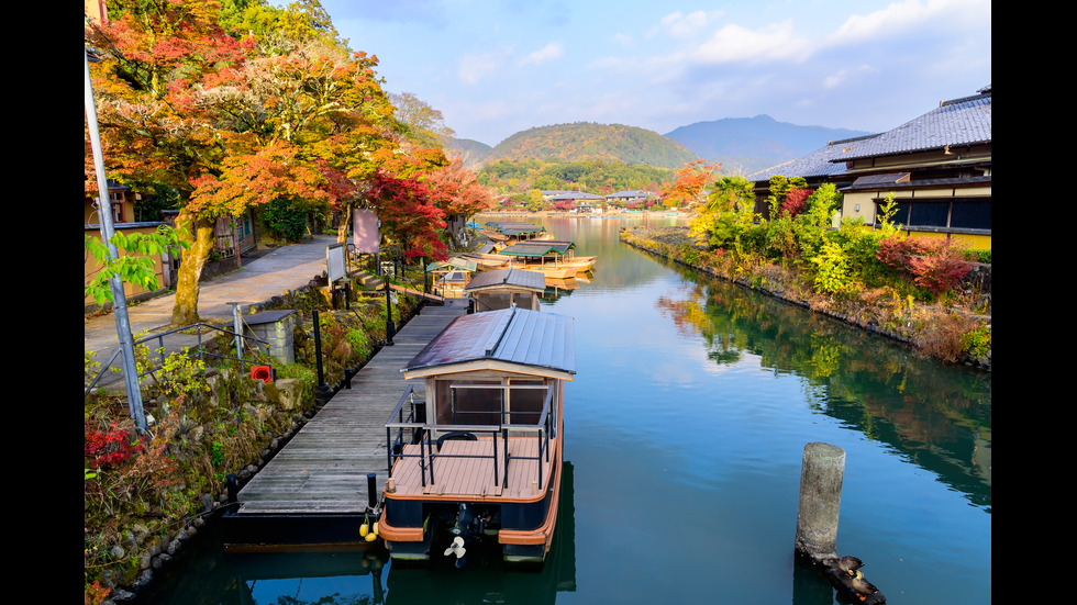 Есенна Япония - страната, в която ходят на "лов за листа"