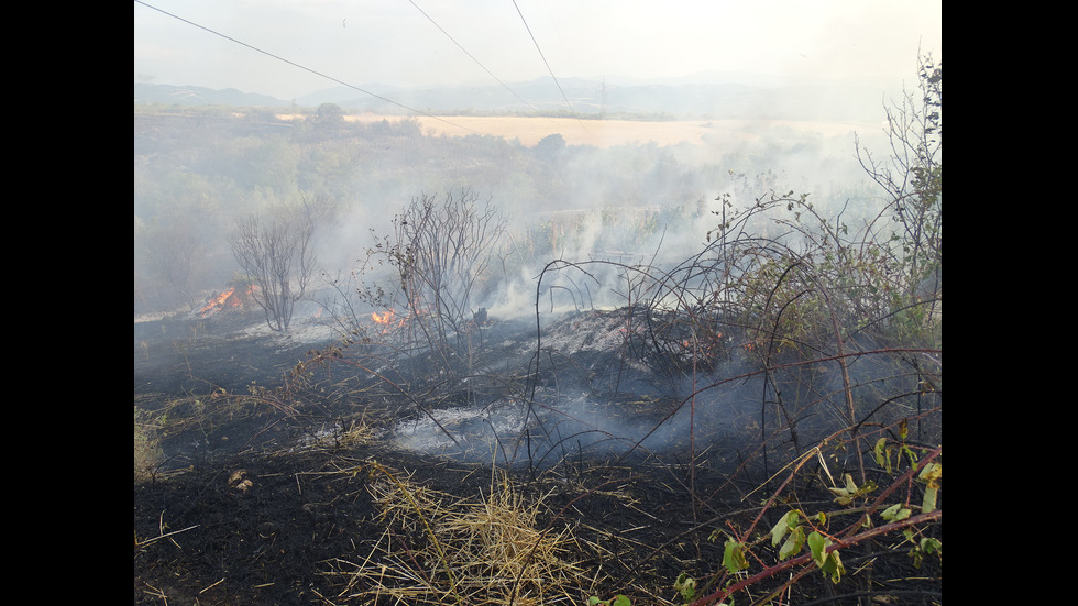 Пожар в лозя край Благоевград