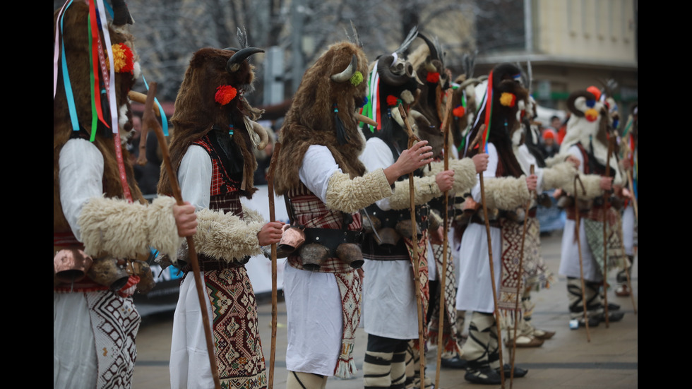 „Сурва” се завърна в Перник