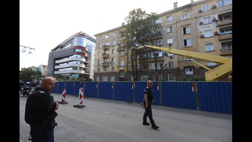 Започна рязането на дървета на улица "Опълченска" в София