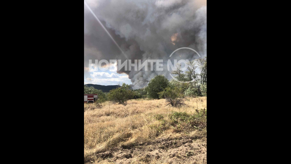 Голям пожар гори в Пазарджишко
