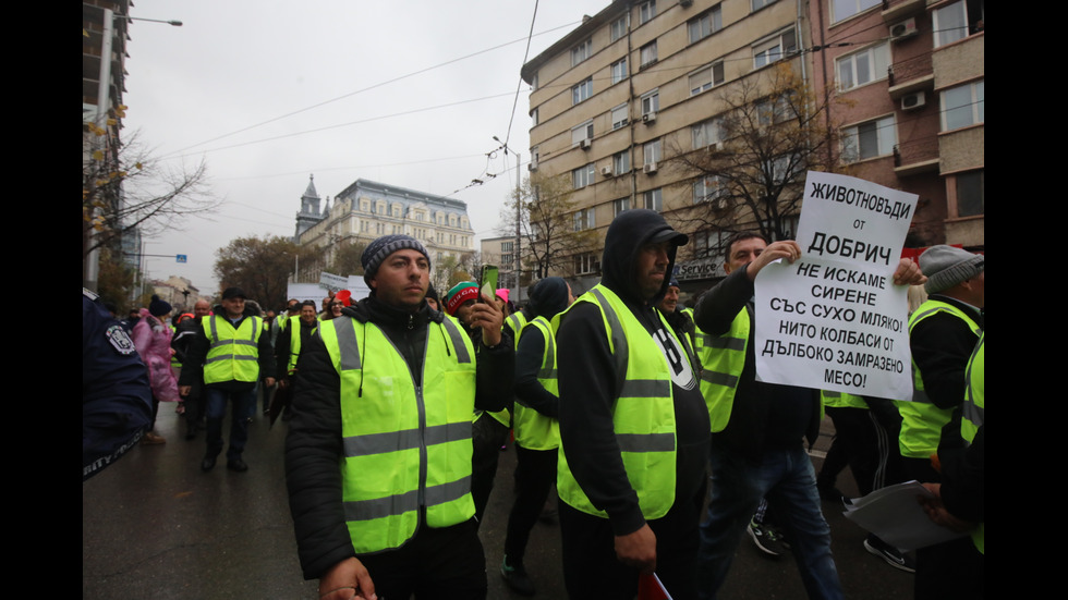 Фермери и животновъди отново излизат на протест