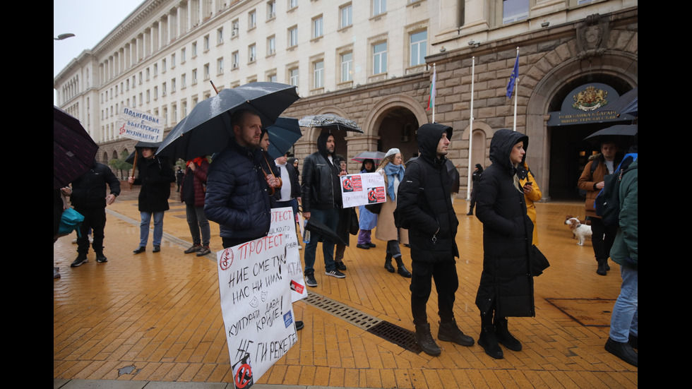 Културни дейци излязоха на национален протест