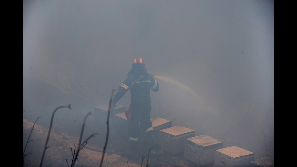 Гърция обяви извънредно положение на остров Евбея заради пожари