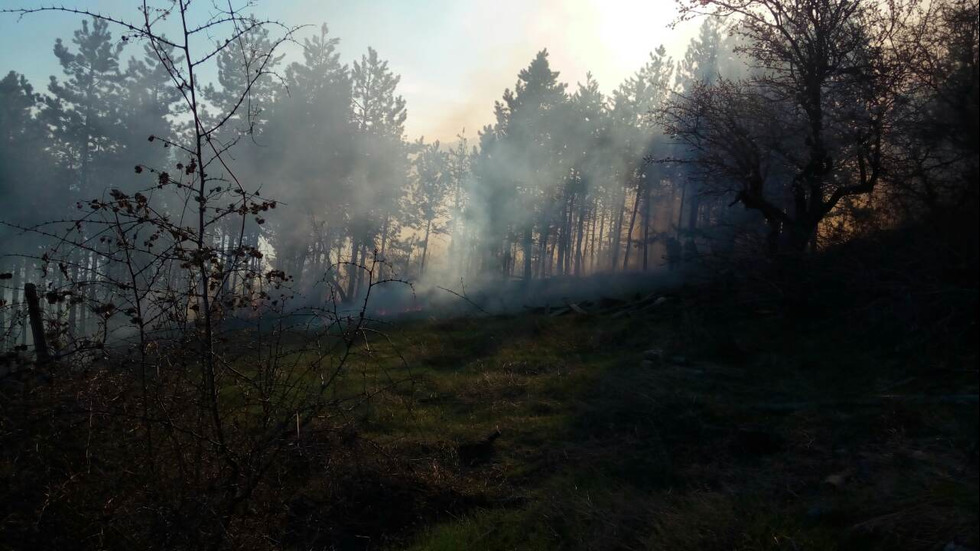 Голям пожар край Стара Загора