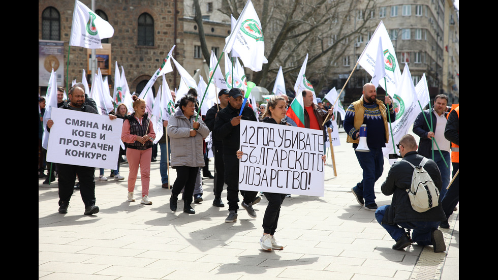 Лозари излязоха на протест