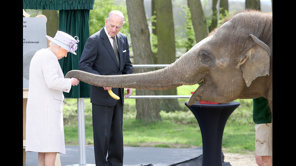 Кралица Елизабет нахрани слон
