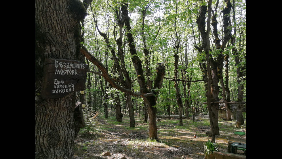 ОПОЗНАЙ БЪЛГАРИЯ: "Небесните пасбища" – приказки в гората