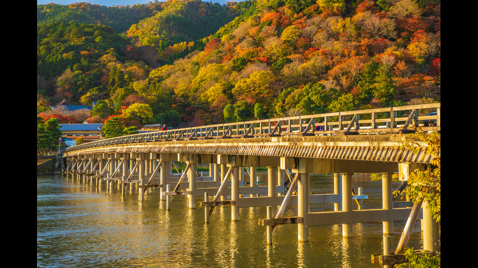 Есенна Япония - страната, в която ходят на "лов за листа"
