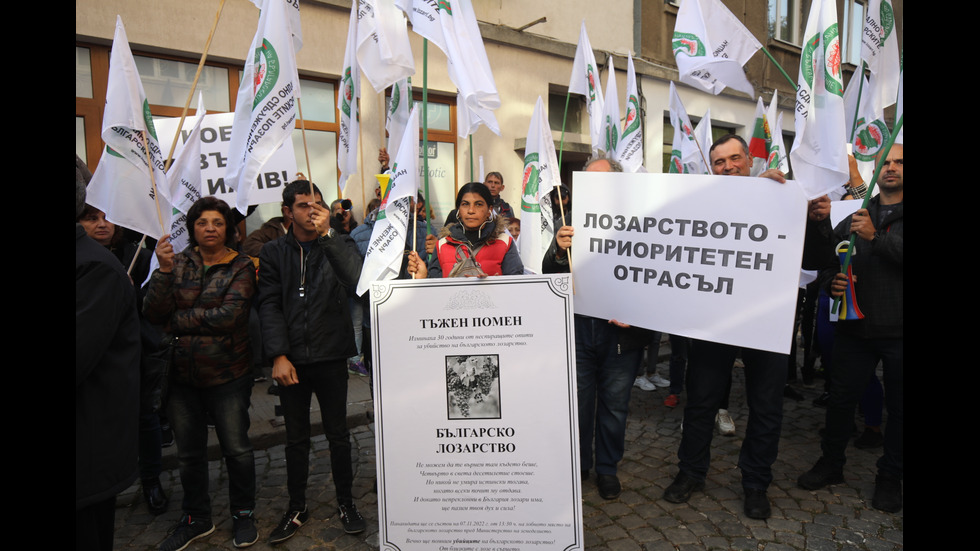 Протест на лозари в София
