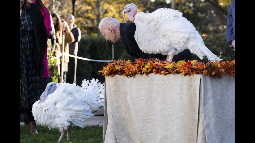 Байдън помилва две пуйки по случай Деня на благодарността