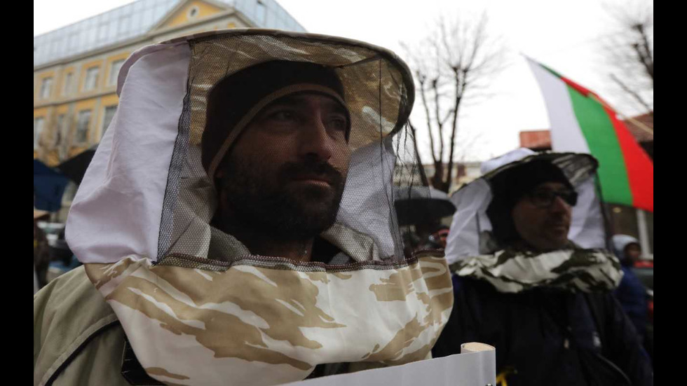 Протест на пчеларите в София