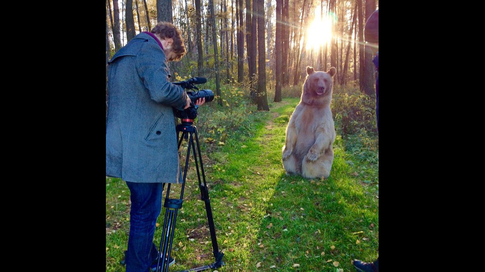 Фотосесиите на мечока Степан