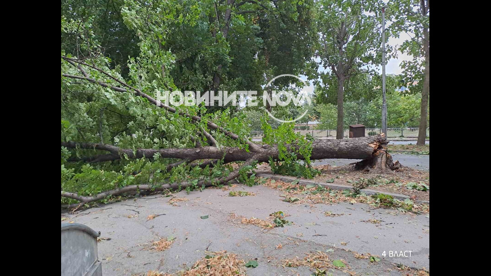 Мощна буря в Кюстендил, кметът – с призив за помощ