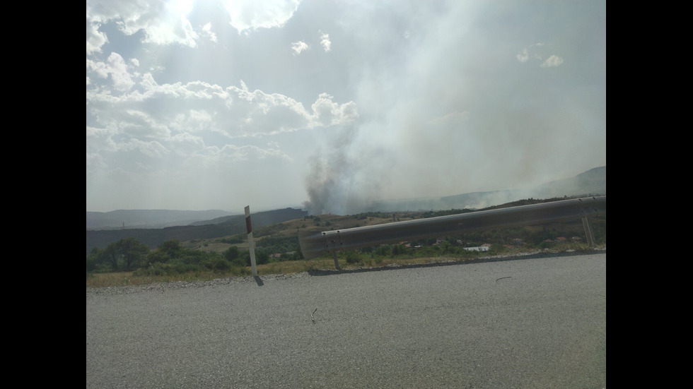 Огромен пожар застрашава гората над Големо Бучино